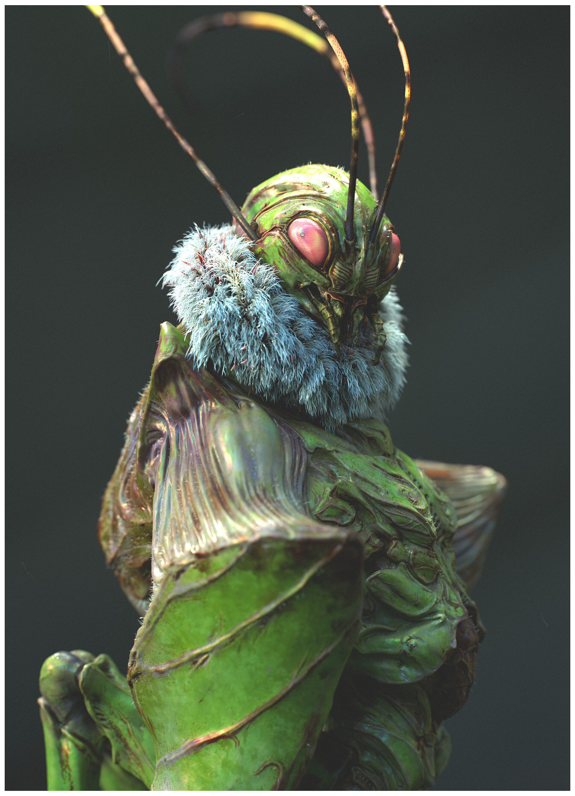 Crop Fairy